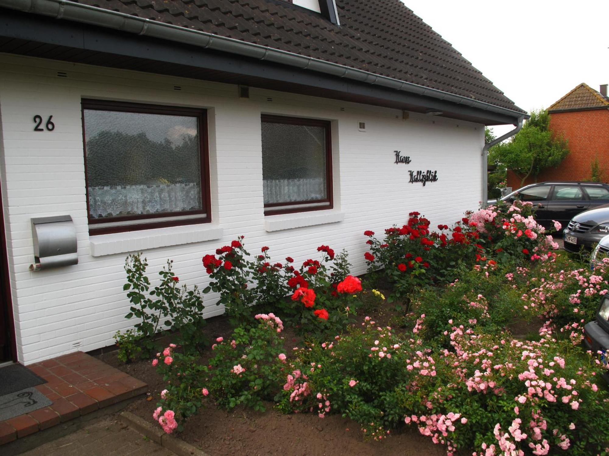 Haus Halligblick, Ferienwohnungen Am Wattenmeer, Whg Hamburger Hallig Dagebuell Ngoại thất bức ảnh