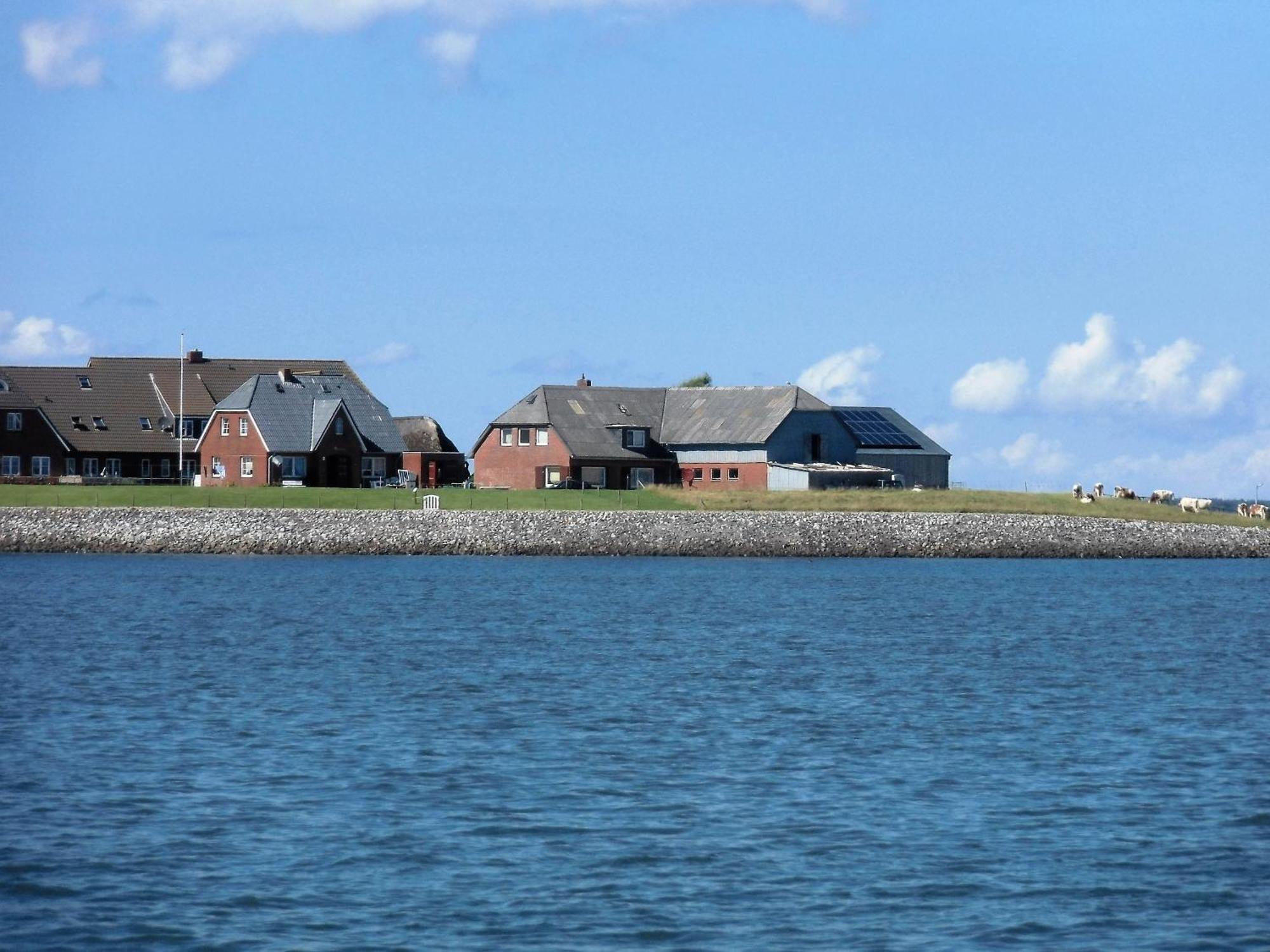 Haus Halligblick, Ferienwohnungen Am Wattenmeer, Whg Hamburger Hallig Dagebuell Ngoại thất bức ảnh